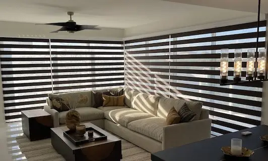 Room Darkening Zebra