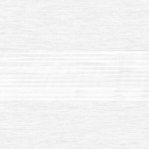 Zebra Shades • Neolux Classic Dim Collection