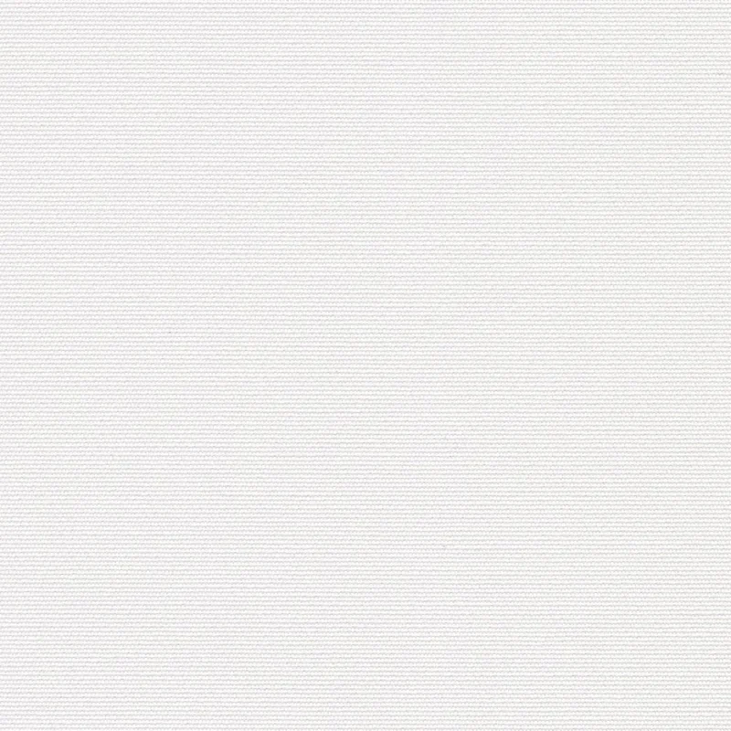Roller Shade #1