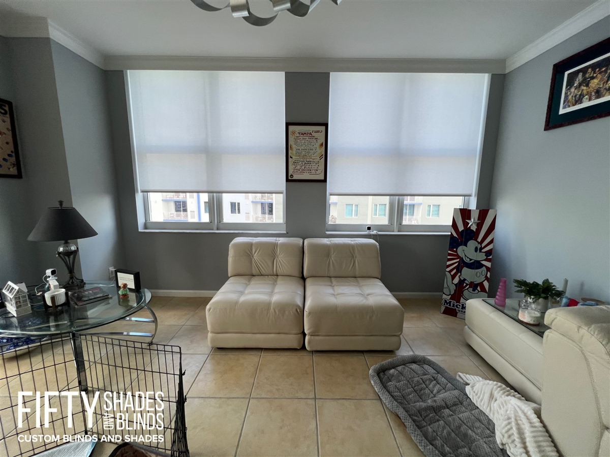 FIFTY SHADES + BLINDS • Translucent_Shades