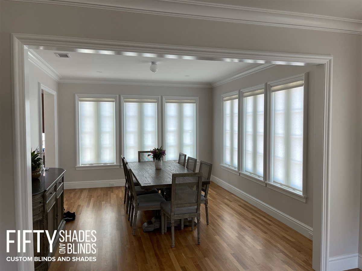 FIFTY SHADES + BLINDS • Translucent_Shades