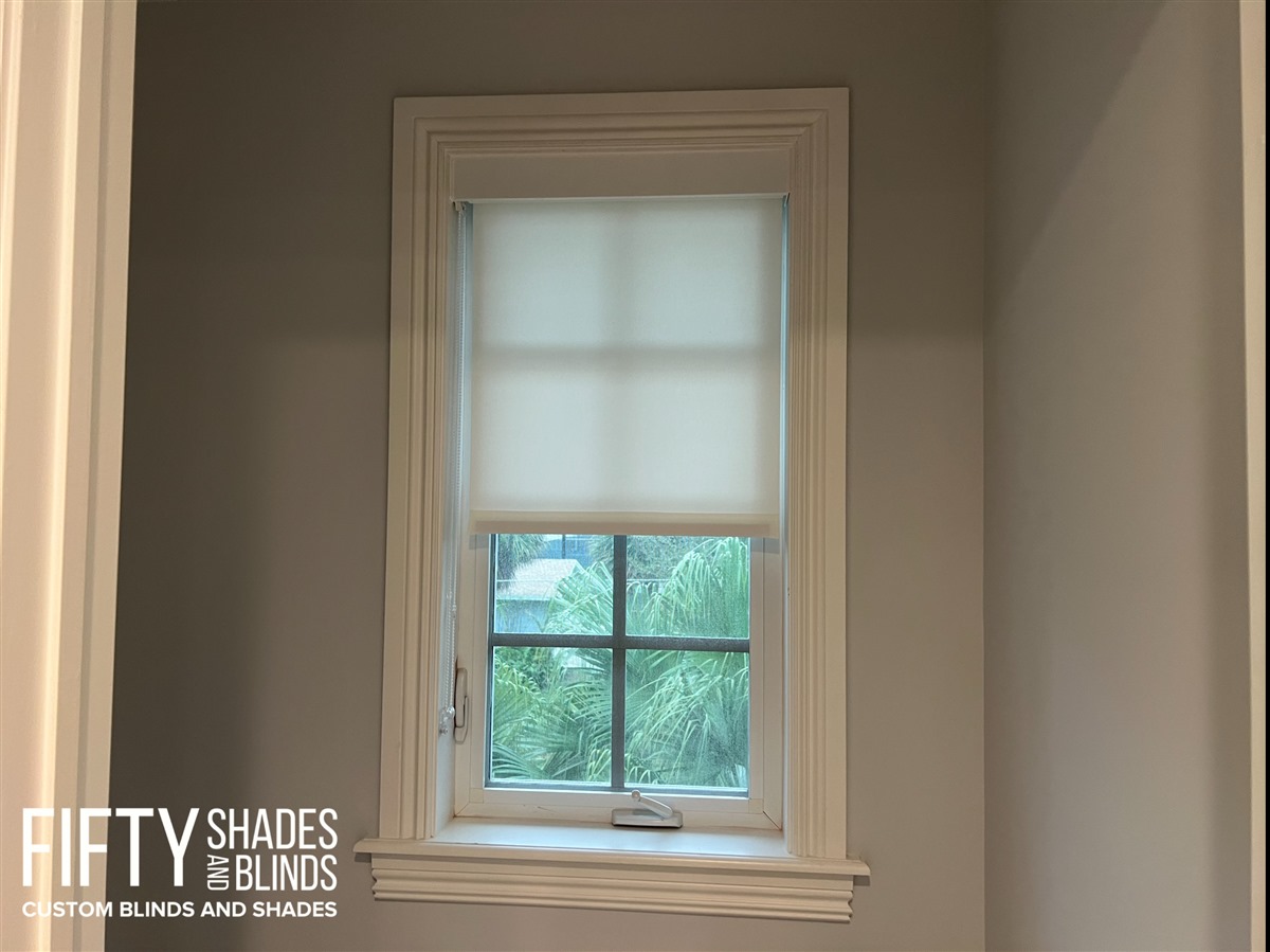 FIFTY SHADES + BLINDS • Translucent_Shades