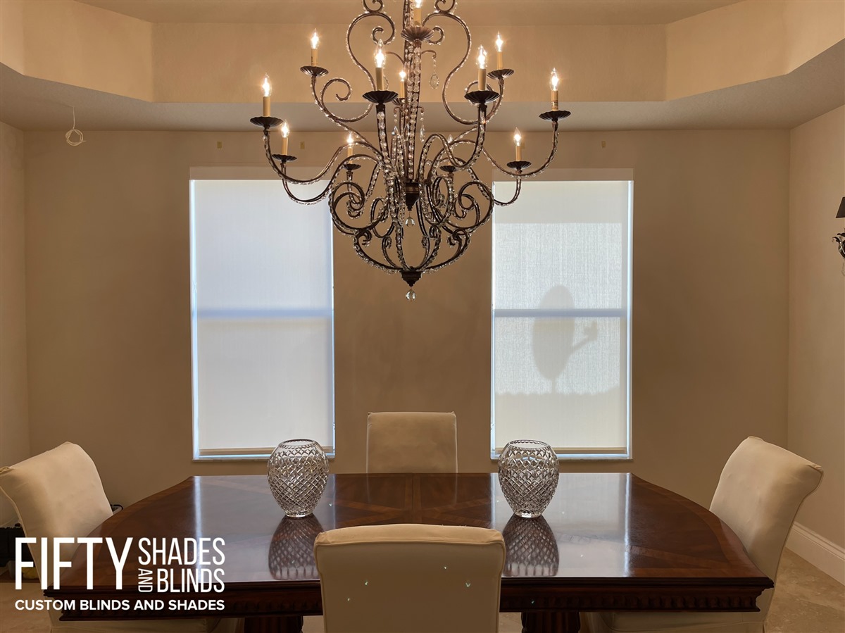 FIFTY SHADES + BLINDS • Translucent_Shades