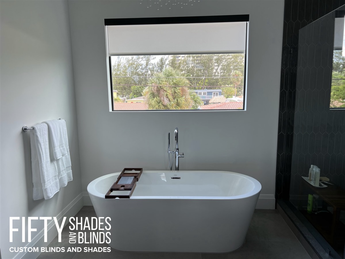 FIFTY SHADES + BLINDS • Translucent_Shades