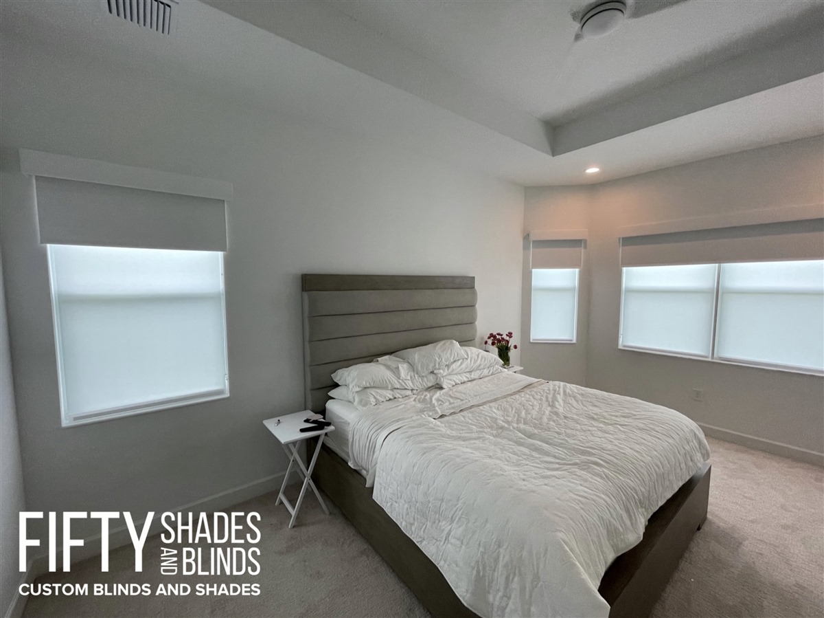 FIFTY SHADES + BLINDS • Translucent_Shades