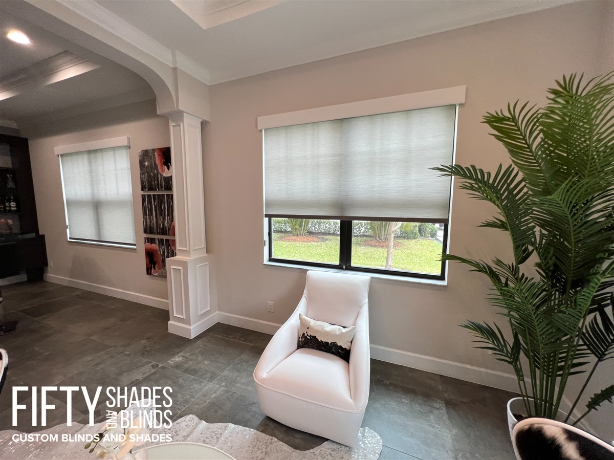 XFIFTY SHADES + BLINDS • Translucent_Shades