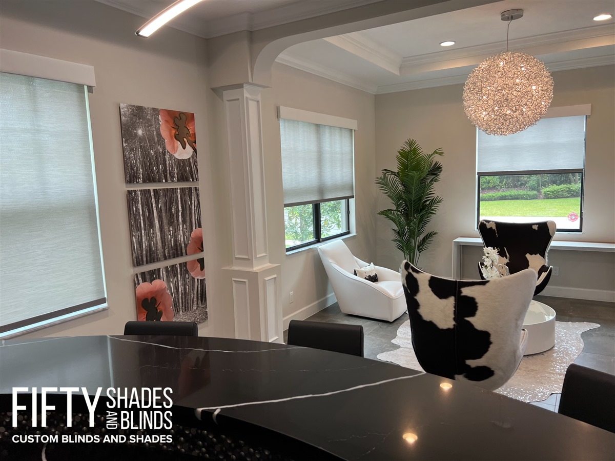 FIFTY SHADES + BLINDS • Translucent_Shades