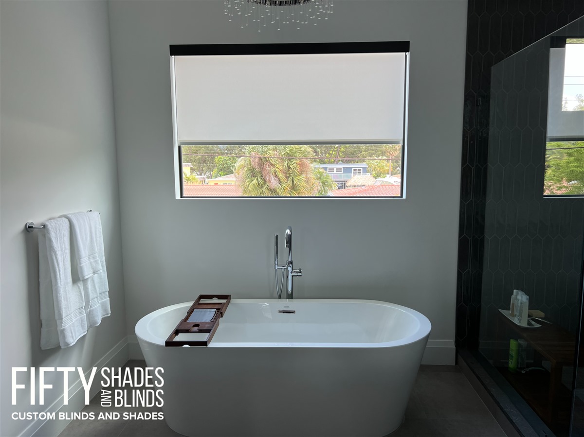 FIFTY SHADES + BLINDS • Translucent_Shades