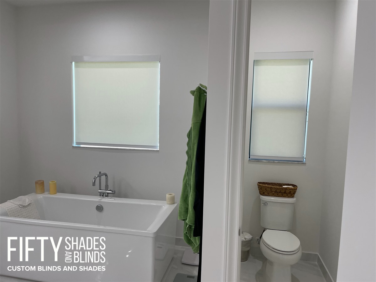 FIFTY SHADES + BLINDS • Translucent_Shades