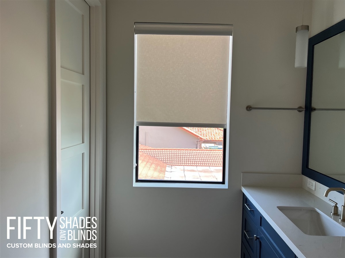 FIFTY SHADES + BLINDS • Translucent_Shades