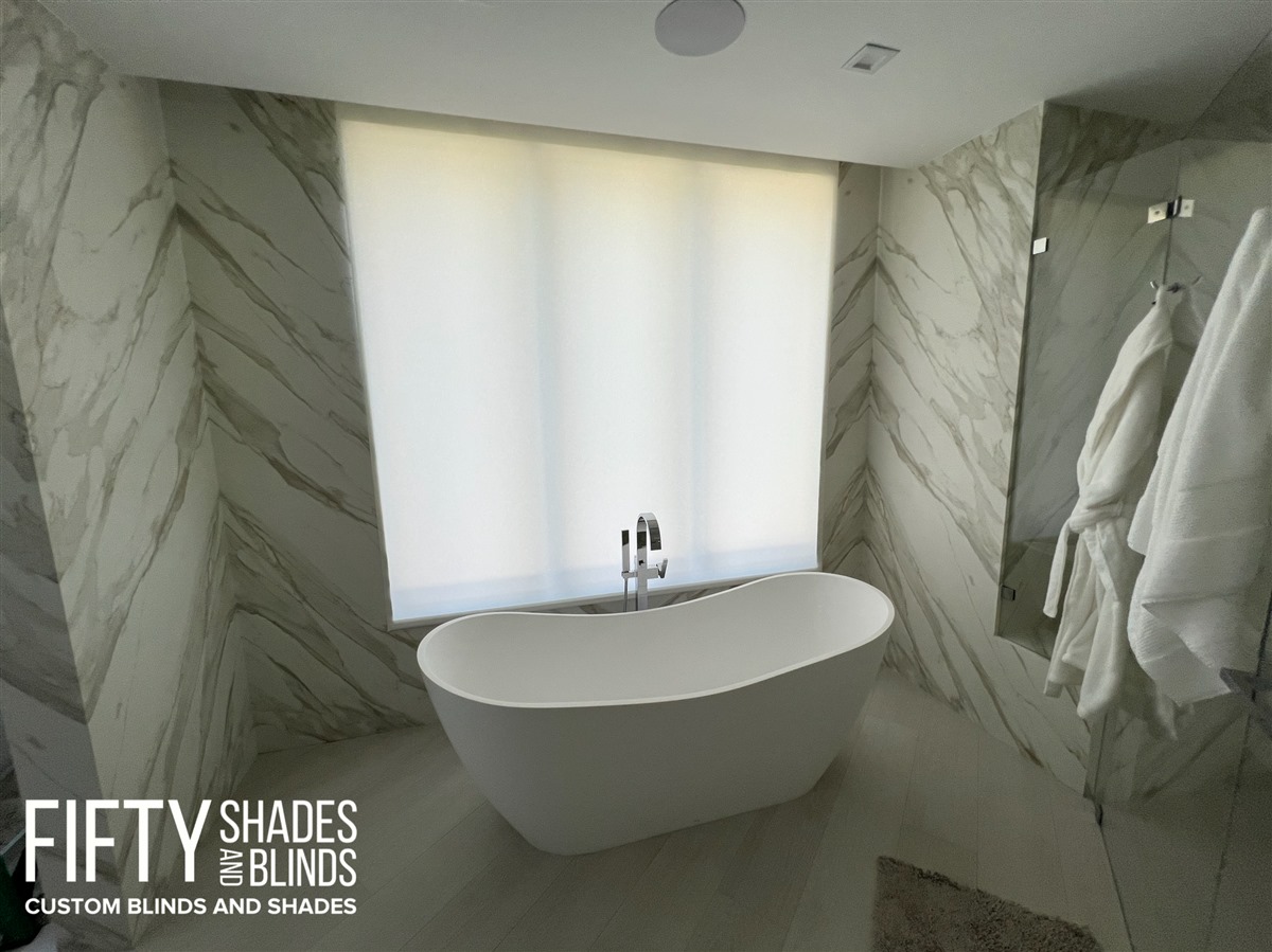 FIFTY SHADES + BLINDS • Translucent_Shades