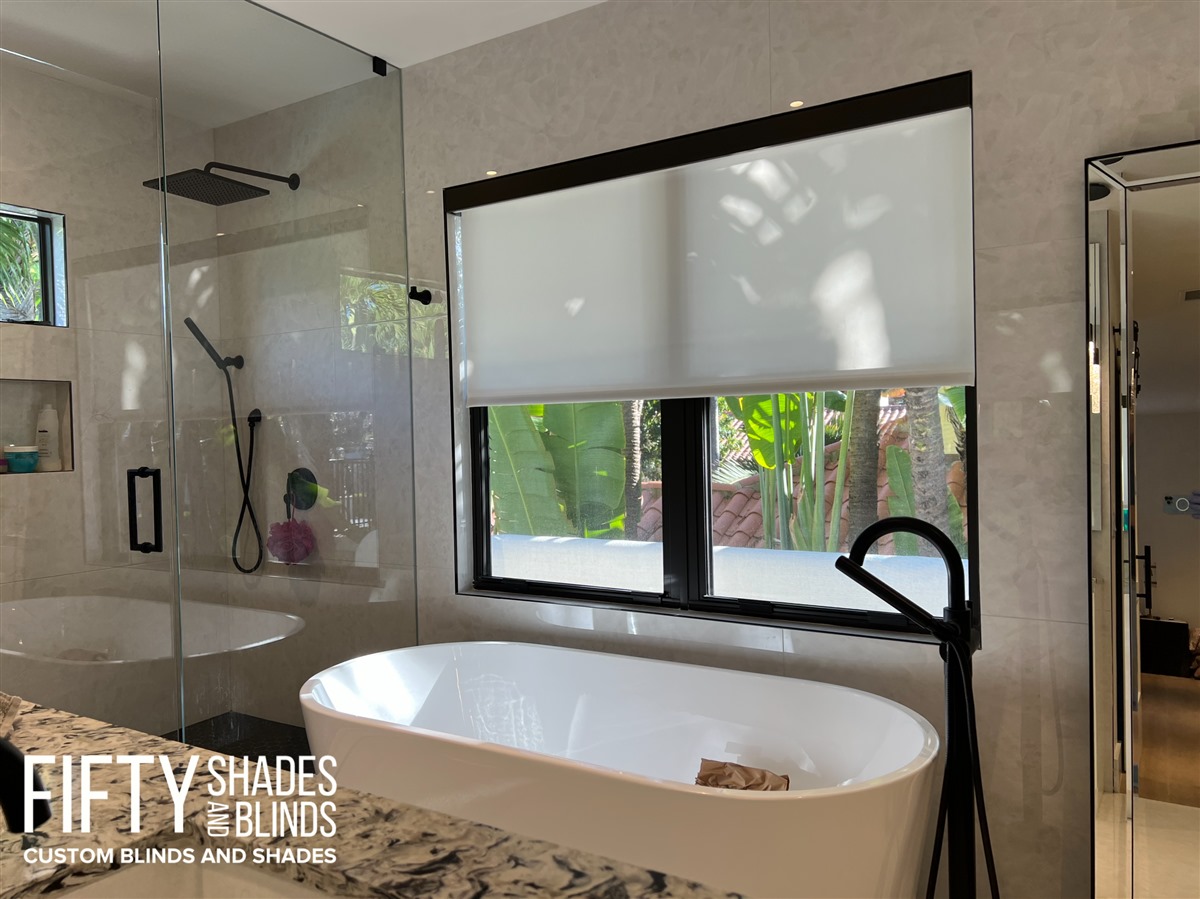 FIFTY SHADES + BLINDS • Translucent_Shades